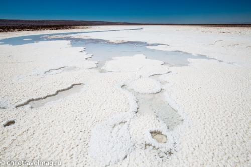Лагуны Балтиначе Чили Атакама14