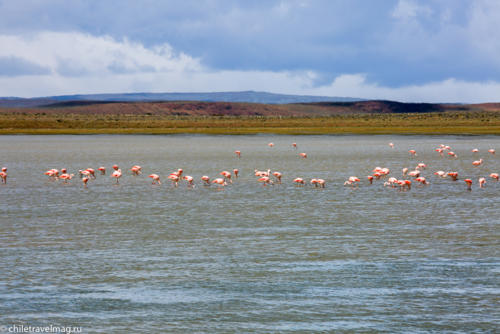 Торрес дель Пайне