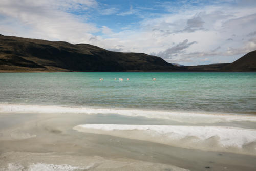 торрес дель пайне парк4